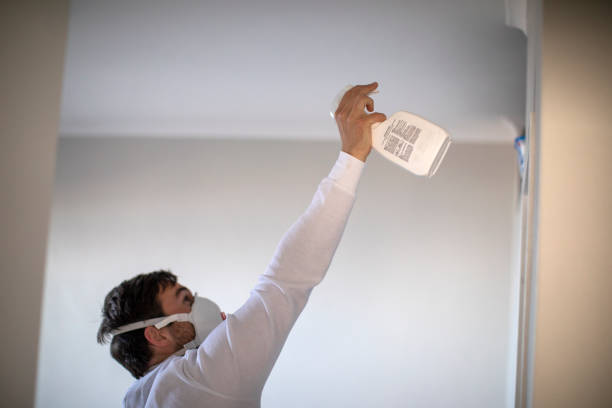 Best DIY Mold Remediation Support Services in Lake Sarasota, FL