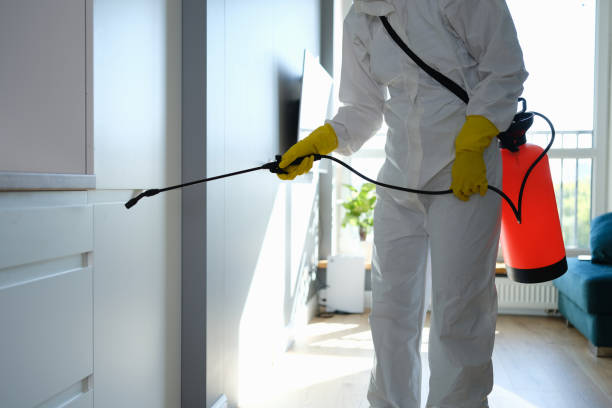 Best Commercial Mold Remediation in Lake Sarasota, FL