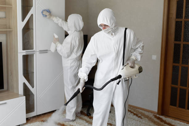 Best Industrial Mold Remediation in Lake Sarasota, FL